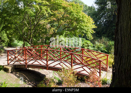 Herbst im zündeten Park Arboretum in der Cotswold-Dorf zündeten, Gloucestershire UK Stockfoto