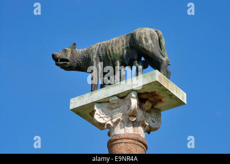 Romulus und Remus mit Wolf-Statue auf einer Spalte in Pisa, Italien Stockfoto