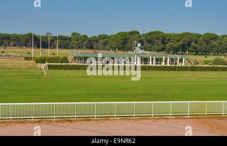 Pferderennbahn mit Rasen natürlich Stockfoto