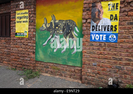 Städtischen Wandbild an Wand in das Stadtzentrum von Mussina in Südafrikas Limpopo Provinz, Sensibilisierung der vom Aussterben bedrohten Wildhunde Stockfoto