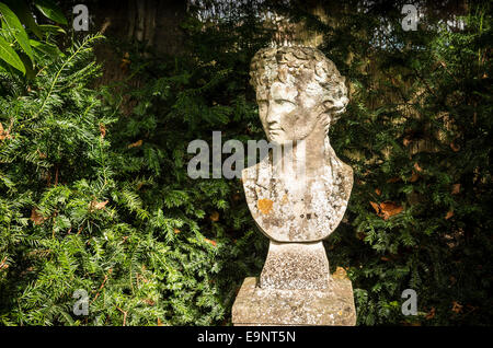 Statue des Mannes im römischen Stil in einer ruhigen Ecke von The Courts Garten Stockfoto