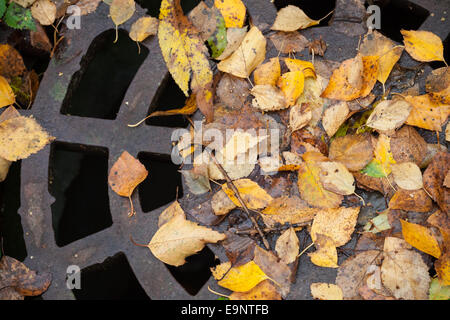 Kanalisation Kanalisation Schacht im herbstlichen Park bedeckt mit gelben Blättern Stockfoto