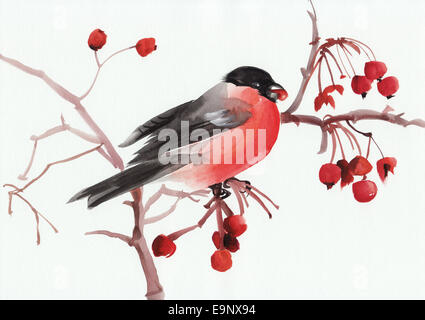 Original Aquarell von Gimpel auf einem Ast. Asiatischen Stil. Stockfoto
