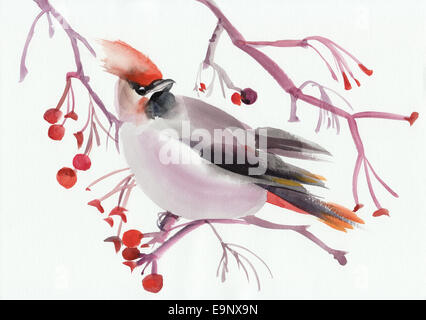 Original Aquarell von einem böhmischen Seidenschwanz auf einem Ast. Asiatischen Stil. Stockfoto