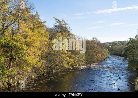Des Flusses Tees bei Middleton in Teesdale im Herbst, Nord-Ost-England, UK Stockfoto