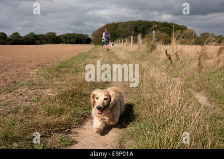 Dackel Weg, Itchenor, Chichester Harbour, Männlichkeit Halbinsel, West Sussex, England Stockfoto