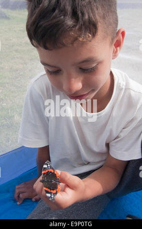 junge Lepidopterologen Schmetterling Zelt mit seinem Schmetterlinge Stockfoto