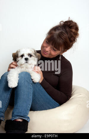 Frau und Shih Tzu Welpen Stockfoto