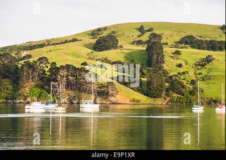 Akaroa Harbour, Neuseeland Stockfoto