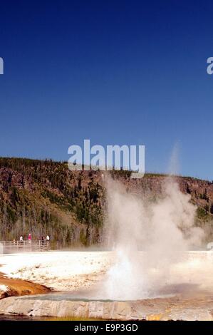 Cliff Geysir im Black Sand-Becken im Yellowstone-Nationalpark, Wyoming - USA Stockfoto