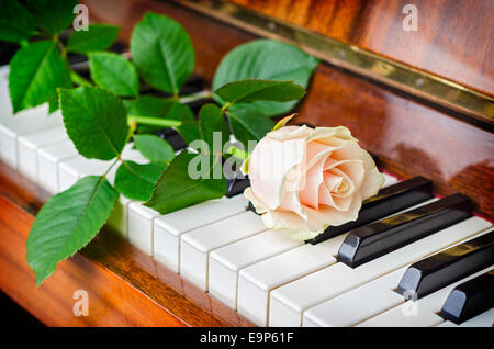 Einzelner weiße Rose lag auf den Tasten eines Flügels Stockfoto