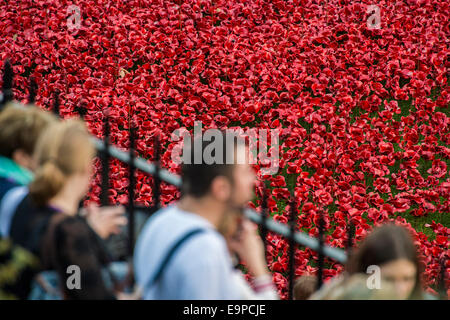 London, UK. 30. Oktober 2014. Letzter Beitrag mit Blut Mehrfrequenzdarstellung Länder und Meere von Rot - die Namen der Toten werden ausgelesen und ein Hornist spielt letzten Beitrag inmitten einem Meer aus Keramik Mohnblumen - bilden sie ein Kunstwerk im Graben der Tower of London anlässlich die Hundertjahrfeier des ersten Weltkrieges. Sie wurden über die commercial Company Paul Cummins Ceramics, ein Fahrzeug des Künstlers geschaffen. Tower of London, 30. Oktober 2014. Bildnachweis: Guy Bell/Alamy Live-Nachrichten Stockfoto