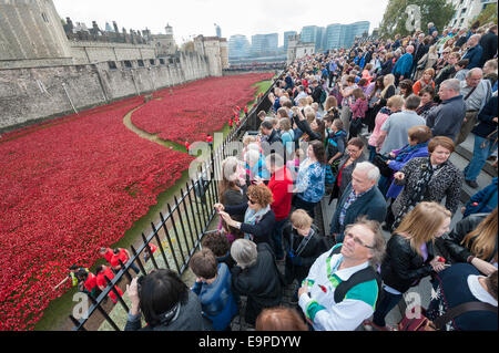 Tower of London, London, UK. 30. Oktober 2014. Tausende von Menschen drängen sich den Umfang der Tower Hill auf Poppy Day. Bildnachweis: Lee Thomas/Alamy Live-Nachrichten Stockfoto