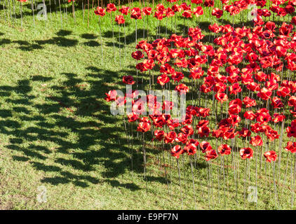 Rote Keramik Mohnblumen mit Schatten in The Tower Of London erinnert sich Ausstellung, Blut Mehrfrequenzdarstellung Länder und Meere rot Stockfoto