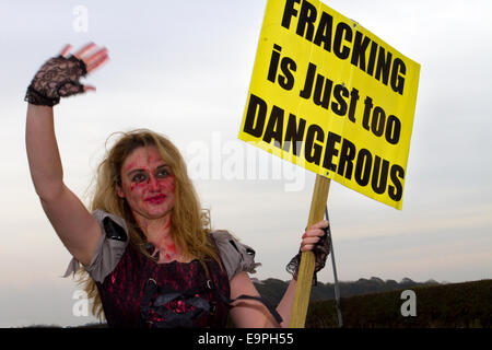 Blackpool, UK. 31. Oktober 2014. Frack frei Lancashire Poppy Bowden ein Anwohner gegen eine vorgeschlagene Fracking im Kostüm außerhalb Maple Farm Kindergarten zeigen. Die Gegend ist voller Anti-Fracking Zeichen errichtet & von lokaler Geschäftsmann Herr John Toothill, wer auf seinem eigenen Eingeständnis obsessive über seine Einwände gegen die vorgeschlagene Fracking im nahe gelegenen Plumpton ist bezahlt. Lancashire County Council erwägt Cuadrilla der Bauantrag und sie sind starke Gemeinschaft Widerstand stoßen. Bildnachweis: Mar Photographics/Alamy Live-Nachrichten Stockfoto