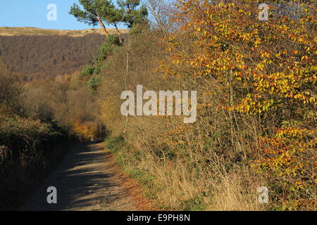 Schöner sonniger Tag ist in Berglandschaft Stockfoto