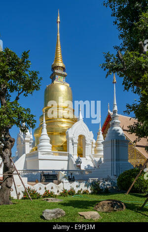 Goldene Chedi im Wat Phra Singh Tempelkomplex, Chiang Mai, Thailand Stockfoto