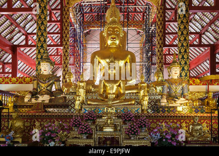 Goldene Buddha-Statue im Viharn Luang Tempel, Chiang Mai, Thailand Stockfoto