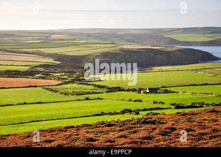 Grüne Felder in der Nähe von Trefasser in Pembrokeshire mit Blick auf die zerklüftete Küste. Stockfoto