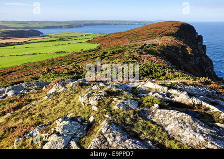 Schönen sonnigen Tag auf dem Küstenpfad in der Nähe von Trefasser in Pembrokeshire. Blick nach Süden entlang der Küste. Stockfoto