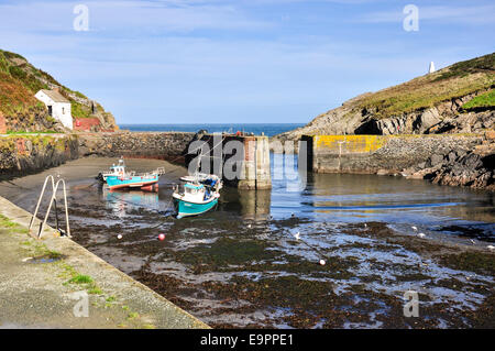 Porthgain Hafen mit Booten, Pembrokeshire Coast, Wales. Stockfoto