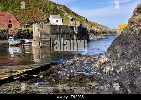 Porthgain Hafen, Hafenmauer und Boote, Pembrokeshire Coast an einem Sonnentag im September. Stockfoto