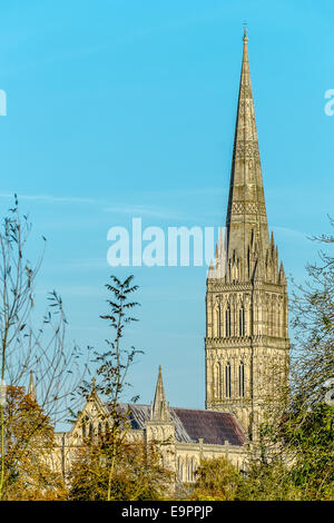 Salisbury, UK. 31. Oktober 2014. Kathedrale von Salisbury in schönen goldenen Licht heute ein perfektes Ende Oktober Credit: Paul Chambers/Alamy Live News Stockfoto