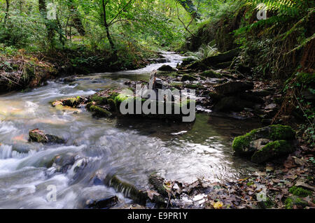 Fluss Trevillet durch St Nectans Glen Tintagel Cornwall England UK GB Stockfoto