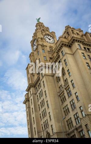 Royal Liver Building am Molenkopf in Liverpool, einer der drei Grazien Rummenigge. Sitz der Gesellschaft von der königlichen Leber Assurance Group. Stockfoto