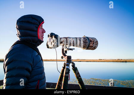 Professioneller Fotograf mit Teleobjektiv Erfassung Tierwelt, Monte Vista National Wildlife Refuge, zentralen Colorado Stockfoto
