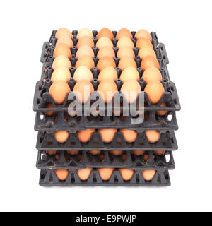 Stapel von Eiern im Tray auf weiß Stockfoto