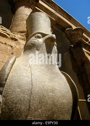 Granitstatue des ägyptischen Falken Gottes Horus im Inneren des Tempels von Edfu, Ägypten. Stockfoto