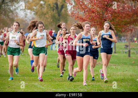 Harrison Township, Michigan - Gymnasiasten aus Südostmichigan konkurrieren in einem lang treffen. Stockfoto