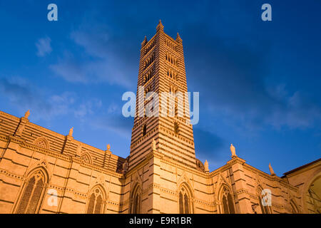 Siena, Toskana, Italien. Glockenturm der Kathedrale Santa Maria Assunta bei Einbruch der Dunkelheit beleuchtet. Stockfoto