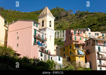 Manarola, Nationalpark Cinque Terre, Ligurien, Italien. Bunte Häuser und 14. Jahrhundert Glockenturm von der Chiesa di San Lorenzo. Stockfoto