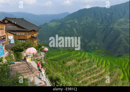 Longsheng Reis Terrasse, Dragon es Rückgrat, Longji, China. Stockfoto