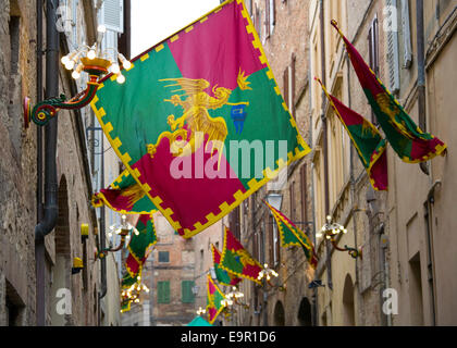 Siena, Toskana, Italien. Bunte Fahnen markieren Hoheitsgebiet die Contrada Drago in Via della Sapienza. Stockfoto