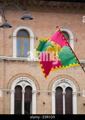 Siena, Toskana, Italien. Bunte Fahne markieren Hoheitsgebiet die Contrada Drago. Stockfoto