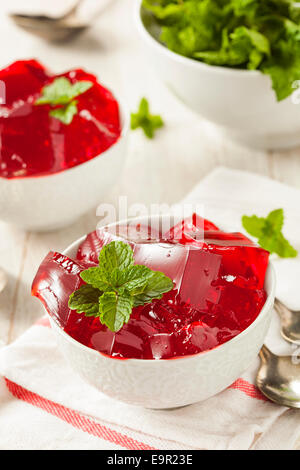 Hausgemachte rote Kirsche Gelatine Dessert in einer Schüssel Stockfoto