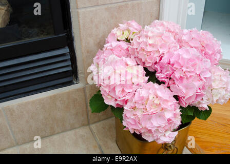 Vase mit Pfingstrosen: eine Vase mit frisch geschnittenem Pfingstrosen in einem Blumentopf auf ein Kaminherd in einem modernen Haus. Stockfoto