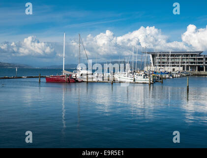 Yachten ankern am Chaffers Marina, Clyde Quay Wharf, Wellington Harbour, New Zealand Stockfoto