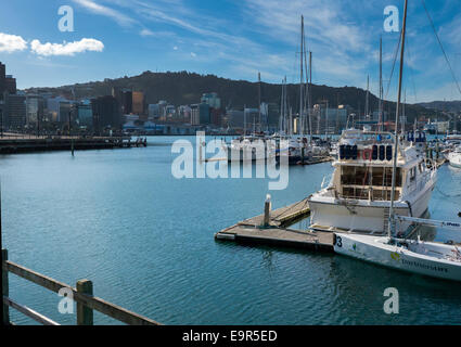 Yachten ankern am Chaffers Marina, Clyde Quay Wharf, Wellington Harbour, New Zealand Stockfoto