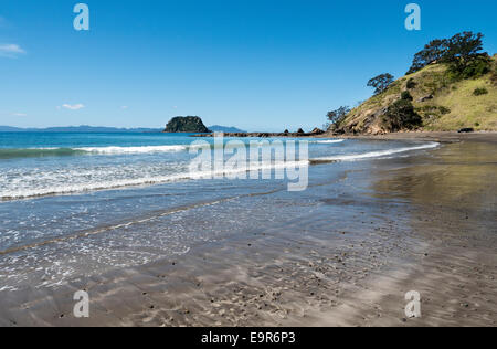 Sandigen Strand und Felsen, Port Jackson, Coromandel Halbinsel, Neuseeland Stockfoto