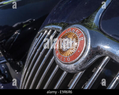 Das Abzeichen auf einen klassischen schwarzen Jaguar Xk 150 Stockfoto