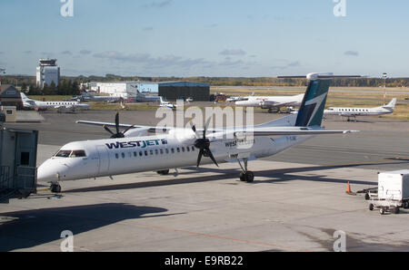 WestJet Q400 Flugzeuge von Bombardier am Flughafen von Thunder Bay, Ontario, Kanada. Stockfoto