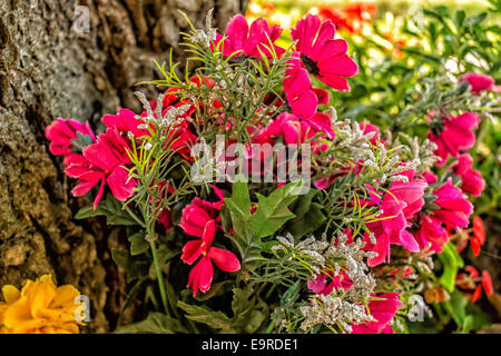 Kunststoff und echte Votiv Blumen unter einem Baum ein Votiv Aedicula der Emilia Romagna in Norditalien zu unterstützen. Einfachen Blüten sind am Fuße des Baumes, umgeben von grünen Unkraut: Farben sind gelb, rosa, Pink, lila, weiß Stockfoto