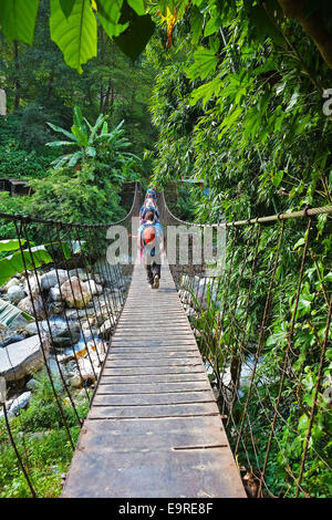 Brücke, Nepal Birethanti Stockfoto