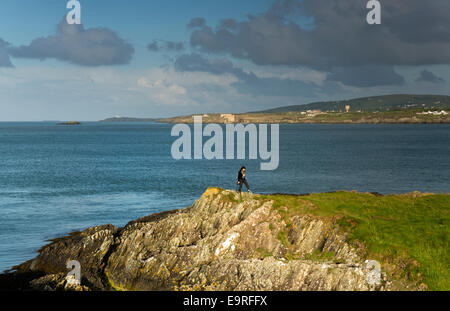 IoAC Küstenweg Westende des Bull Bay (Port Llechog) in der Nähe von Amlwch Nordküste Isle of Anglesey, North Wales UK, Sommer Stockfoto