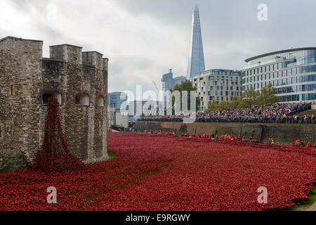 Blut gefegt, Länder und Meere rot - Tower of London Mohn Stockfoto