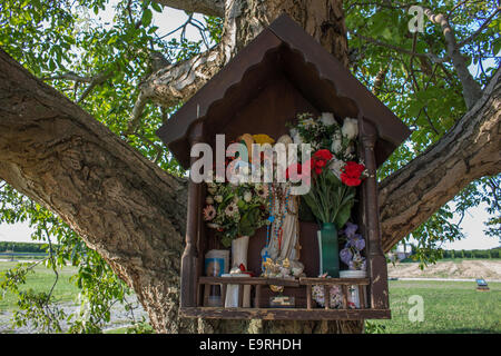 Votiv AEDI-gewidmet der Jungfrau Maria auf einem Baum in der Nähe der mittelalterlichen Landschaft Kirche Campanile befindet sich in der Ortschaft Santa Maria in Fabriago in der Region Emilia-Romagna in Norditalien Stockfoto